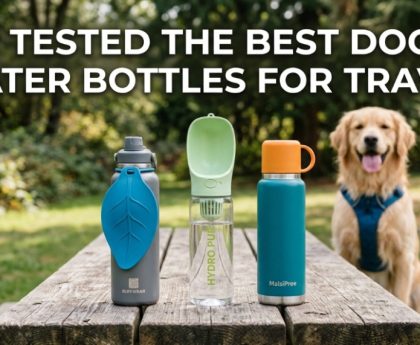 Three travel dog water bottles on a picnic table with a Golden Retriever in the background and article title text.