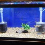 Aquarium water pump creating strong water circulation in a fish tank