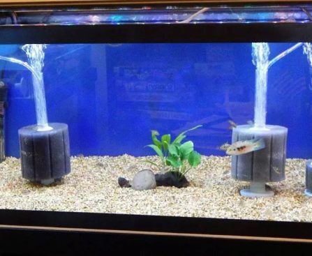 Aquarium water pump creating strong water circulation in a fish tank