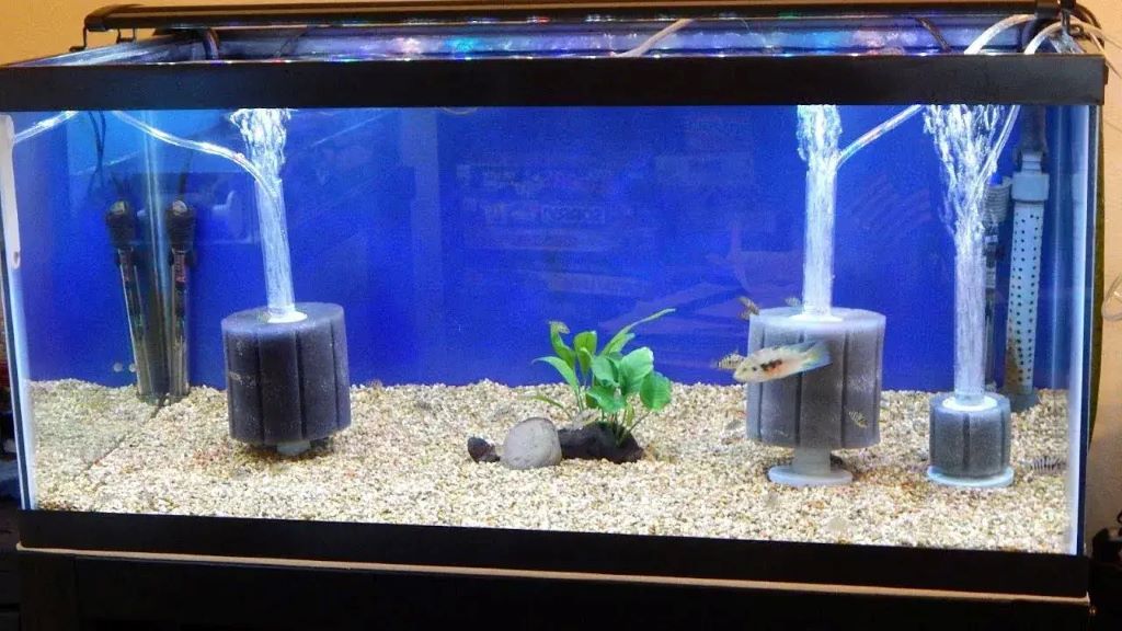 Aquarium water pump creating strong water circulation in a fish tank